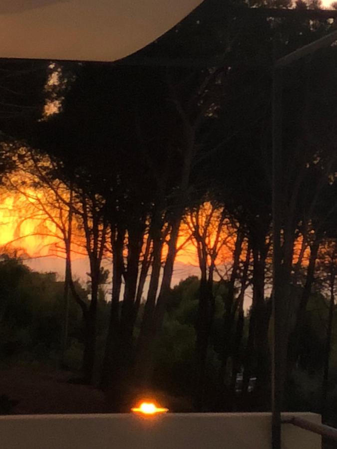 דירות צ'פאלו Ilenia Seaview מראה חיצוני תמונה